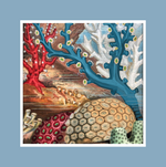Coral