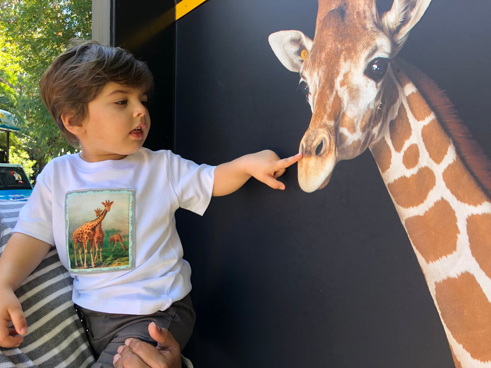 Giraffe