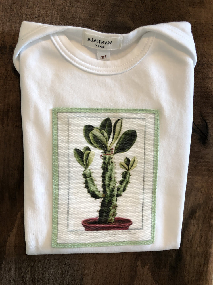 Cactus