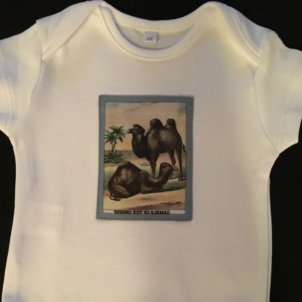 Camel