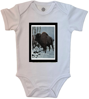 Bison